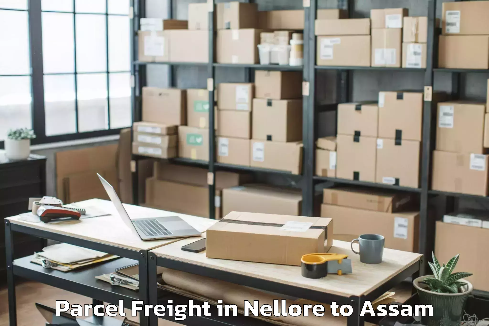 Book Nellore to Tezpur University Tezpur Parcel Freight Online